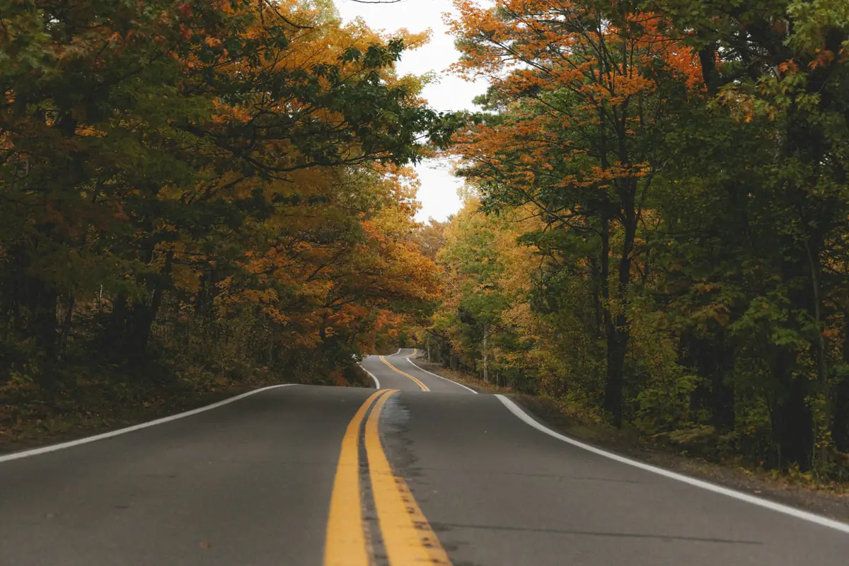 A winding two-lane road surrounded by autumn trees